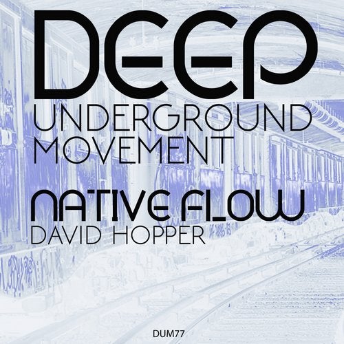 Cover art for Native Flow