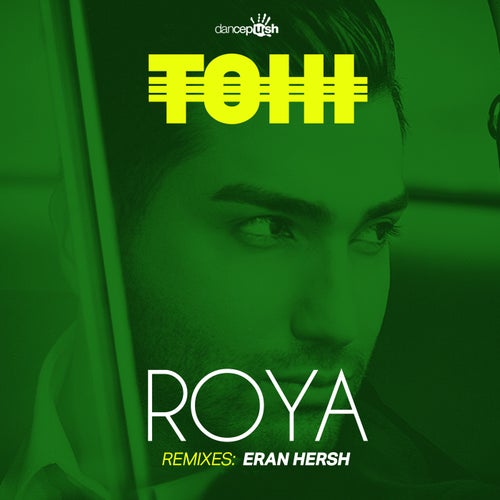 Cover art for Roya (Remix)