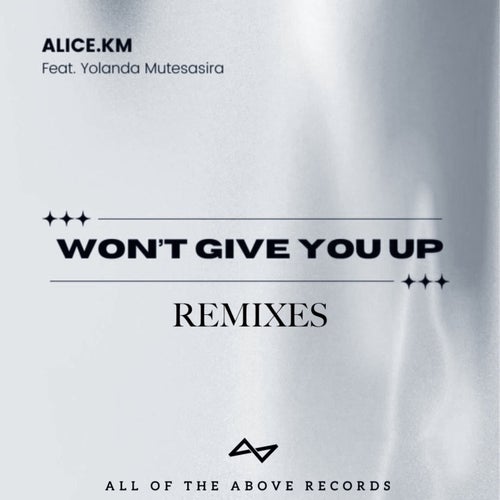 Won't Give You Up (Remixes)