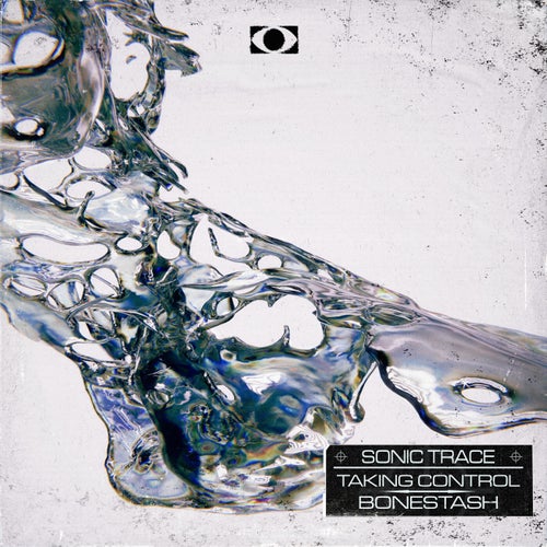 Taking Control / Bonestash