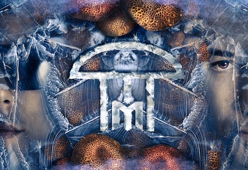Infected Mushroom avatar