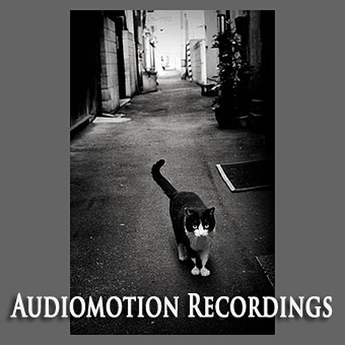 Audiomotion Recordings