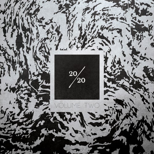 Cover art for 20/20, Vol. 2