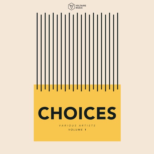Voltaire Music Pres. Choices Vol. 1