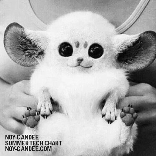 Noy-C Andee Summer Tech Chart