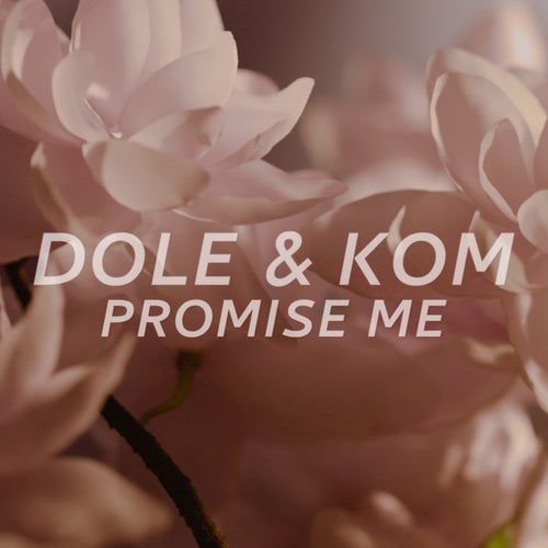 Promise Me