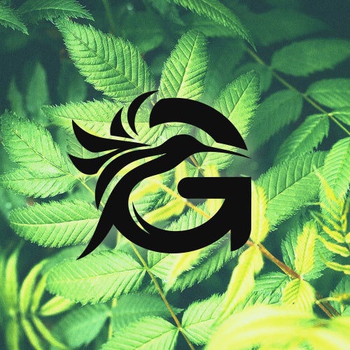GWAVA