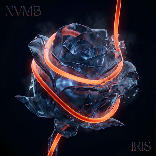 NVMB