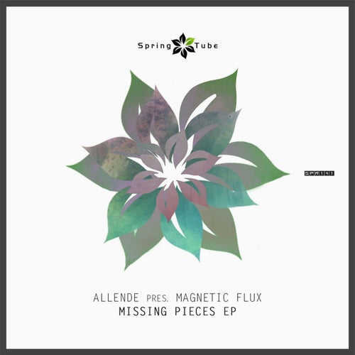 Missing Pieces