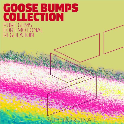 Cover art for Goose Bumps Collection, Vol. 5