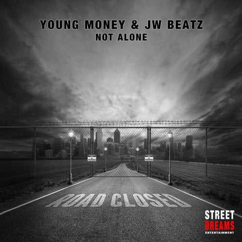 Cover art for Not Alone
