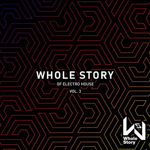 Whole Story Of Electro House Vol. 3