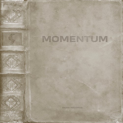 Momentum