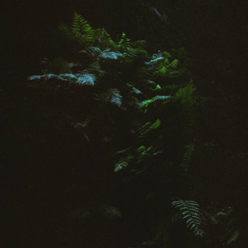 Cover art for Ramé