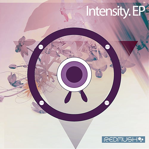 Intensity