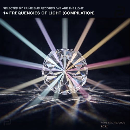 We Are The Light