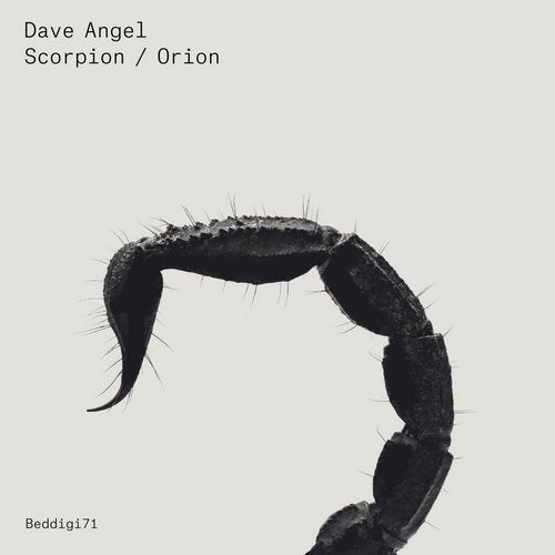 Cover art for Scorpion / Orion