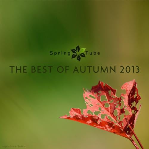 The Best of Autumn 2013