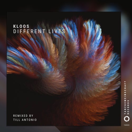  Kloos - Different Lives (2024) 