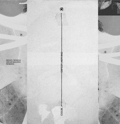Cover art for Expect Nothing - Remixes