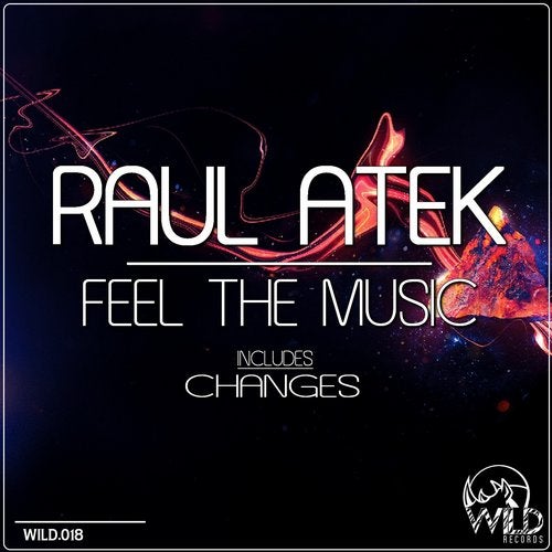 Cover art for Feel the Music