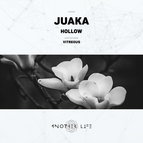 Hollow