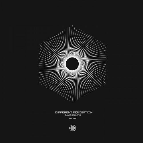 Cover art for Different Perception