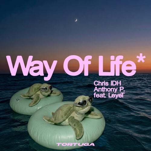 Way Of Life