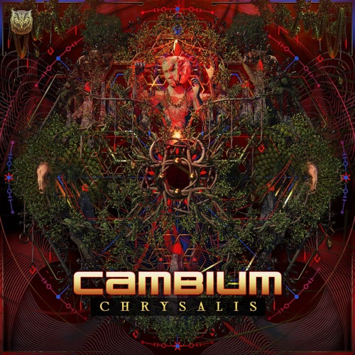  Cambium - Chrysalis (2023) 