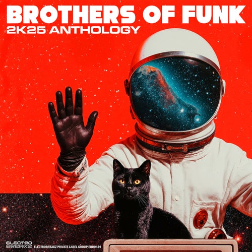 Brothers Of Funk 2K25 Anthology