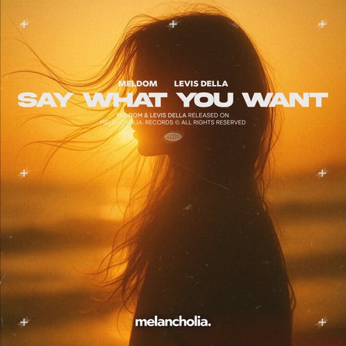 say what you want