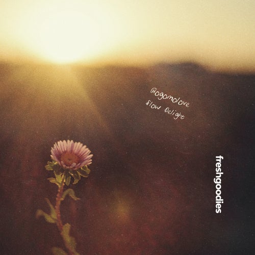 Slow Delight