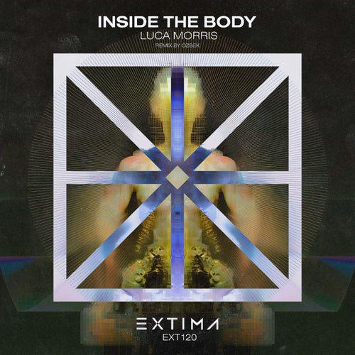 Inside the Body