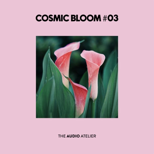 Cosmic Bloom 03 (2025) - The Audio Atelier