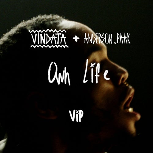 Own Life (feat. Anderson .Paak) (VIP Mix)