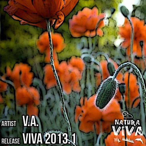 Viva 2013.1