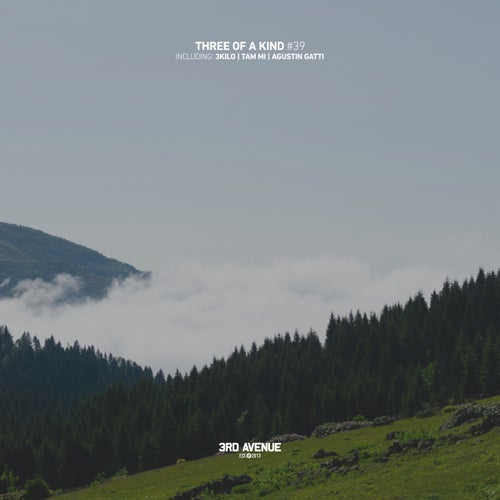 VA - Three of a Kind #39 [3AV556] FLAC - (Progressive House) Album Cover