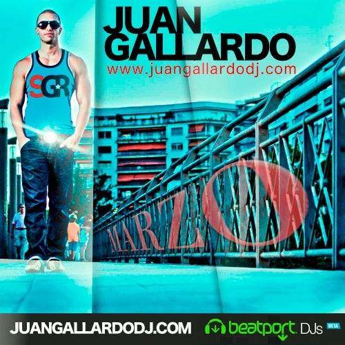 Chart Juan Gallardo Marzo 2013