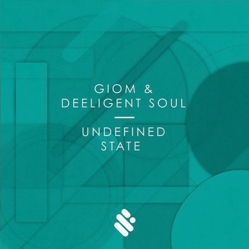Cover art for Undefined State