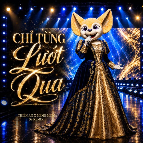 Chỉ Từng Lướt Qua (SS Remix)