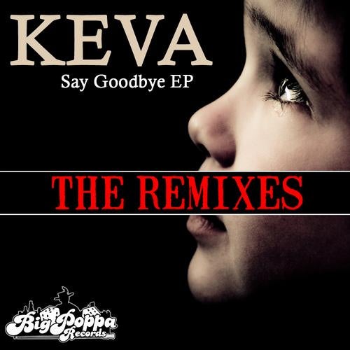 Say Goodbye Remix EP