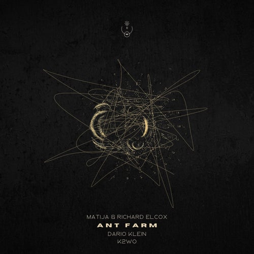 Ant Farm