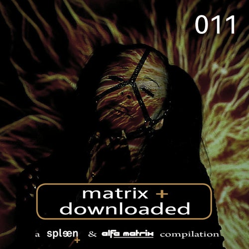 Matrix Downloaded 011