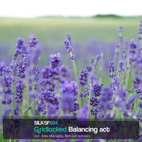 Balancing Act