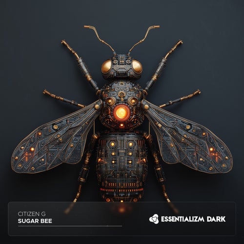 Sugar Bee