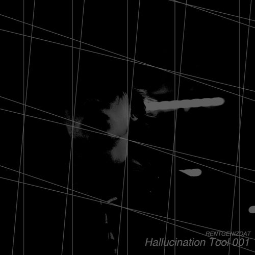 Hallucination Tool 001