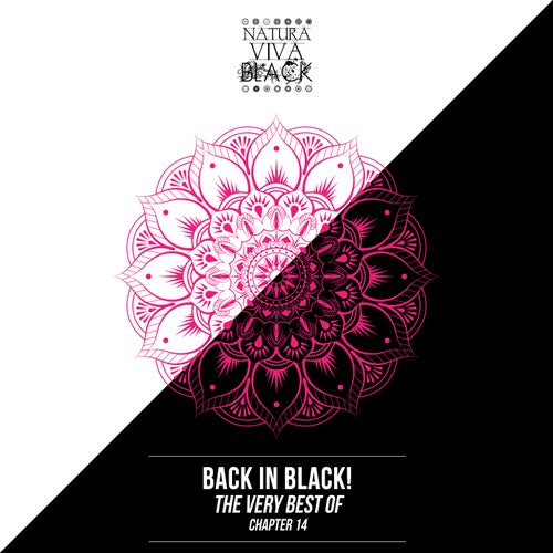 Back In Black! (The Very Best Of) Chapter 14