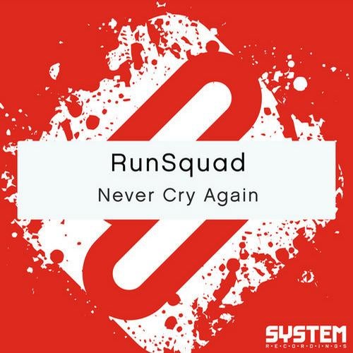 Never Cry Again - Single