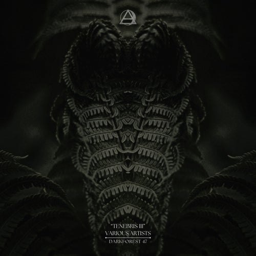 Tenebris III