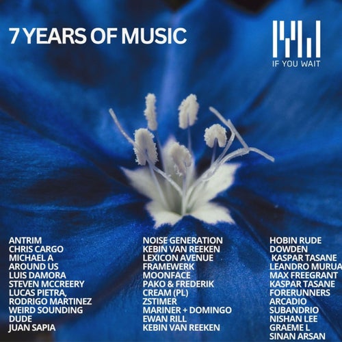 7 Years of if You Wait